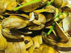 -渡海小渔村.老辈日照菜