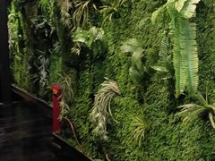 -绿茶餐厅(华联万柳店)