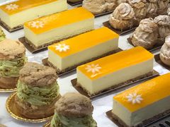 -Madeleine玛德琳(永平里店)
