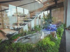 -绿雪芽白茶(浙大华家池校区凯旋路店)