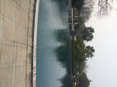 千岛湖喜来登度假酒店-绿城千岛湖喜来登度假酒店