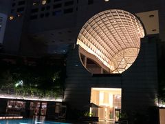 -新加坡丽思卡尔顿美年酒店