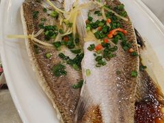 -金城大酒店-中餐厅(汾江中路店)