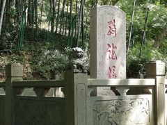 -上海佘山国家森林公园东门地面停车场