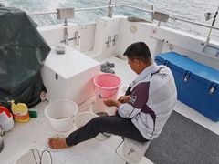 -小猫钓鱼海钓俱乐部(椰梦长廊店)