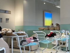 -怪兽屋·羊驼·猫咖·狗咖(俊华广场店)