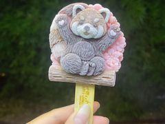 -上海野生动物园
