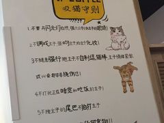 -喵匠猫主题咖啡(凯德和平广场店)