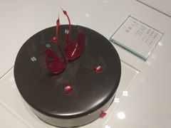 -BLACKSWAN黑天鹅(环球店)
