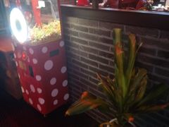 -红花椒火锅(泰州万达店)