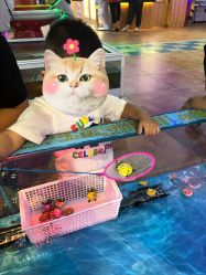 -菲菲羊乐园(临平银泰城店)