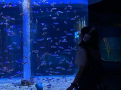 -海合安成都极地海洋公园