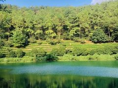 -九龙潭景区