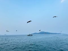 -刘公岛景区