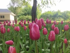 -长春公园(普阳街道)