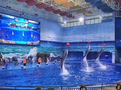 -多彩贵州城极地海洋世界