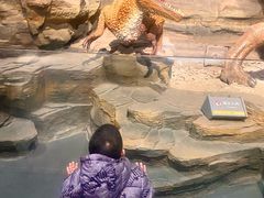 -辽宁古生物博物馆