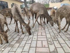-中华郡文化旅游景区