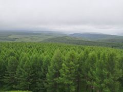 -塞罕坝国家级自然保护区