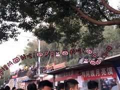 -郭阿姨月亮馍