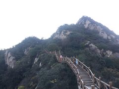 -大岭沟猕猴桃谷风景区