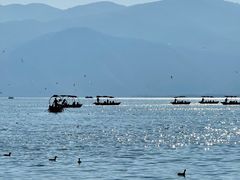 -西昌邛海湿地