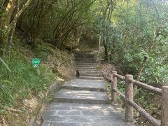 -广州白江湖森林公园