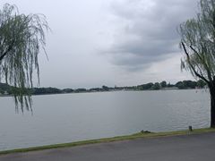 -上海月湖雕塑公园