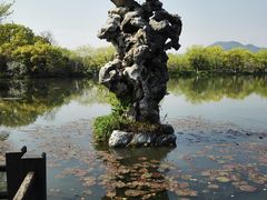 -西湖外事游船(花港观鱼码头)