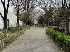 -丰台科技园生态主题公园