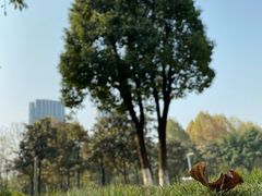 -重庆中央公园(渝北区)