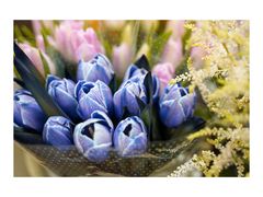 -双季花艺园艺市场(浦东店)