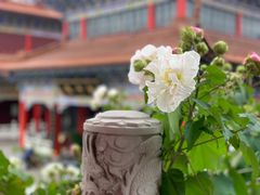 -皇罗禅寺