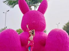 -秦皇岛乐岛海洋王国