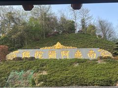 -庐山风景名胜区-东林大佛