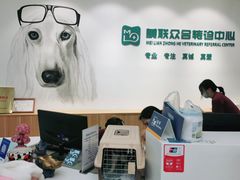 -美联众合动物医院·24h转诊中心