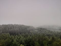 -塞罕坝国家级自然保护区