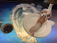 -HIHE Bistro·Oyster Bar(华熙live店)