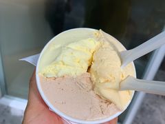 -DIP in GELATO(富民路店)