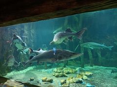 -华夏文旅海洋公园