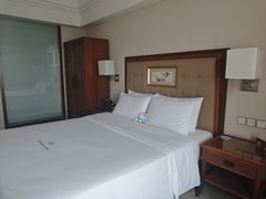 -惠州康帝国际酒店