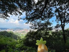 -广州市白云山风景名胜区
