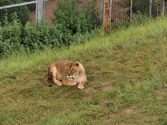 -青藏高原野生动物园