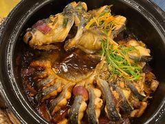 -金龙寨(龙城路店)