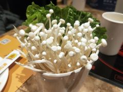 -黄记煌三汁焖锅(龙湖U城店)