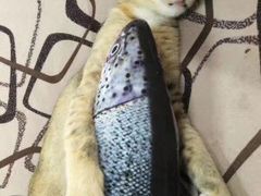 -复旦大学枫林校区-学生食堂