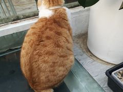 -小时光咖啡馆(北锣鼓巷店)