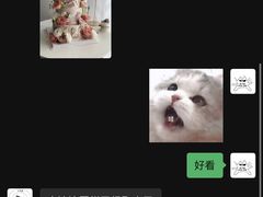 -亦家cake·0卡糖