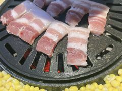 -盛辛巴·东北炭火烤肉(托乐嘉店)