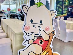 -南充通源宝马4S店(高坪店)